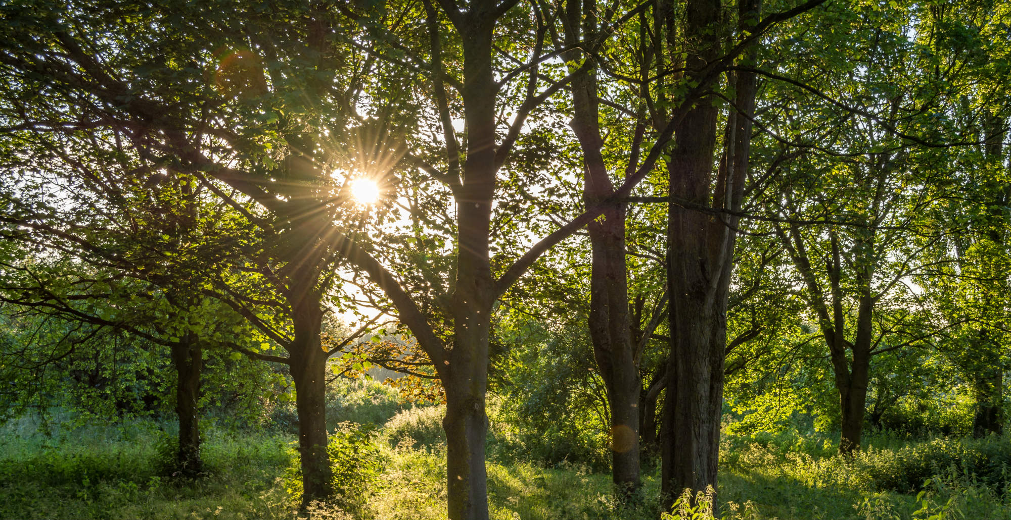 Best places to live in Oxfordshire